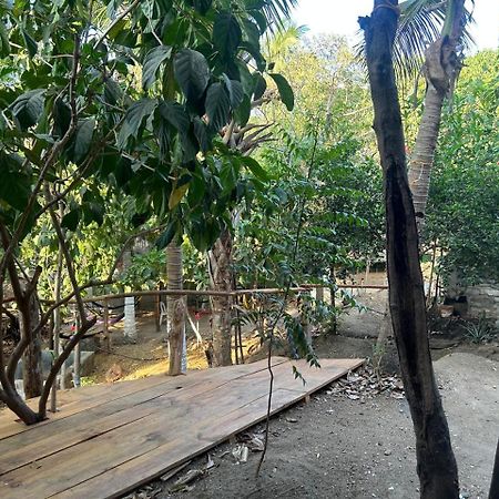 Casa De Las Brujas Hostal Zipolite Eksteriør bilde