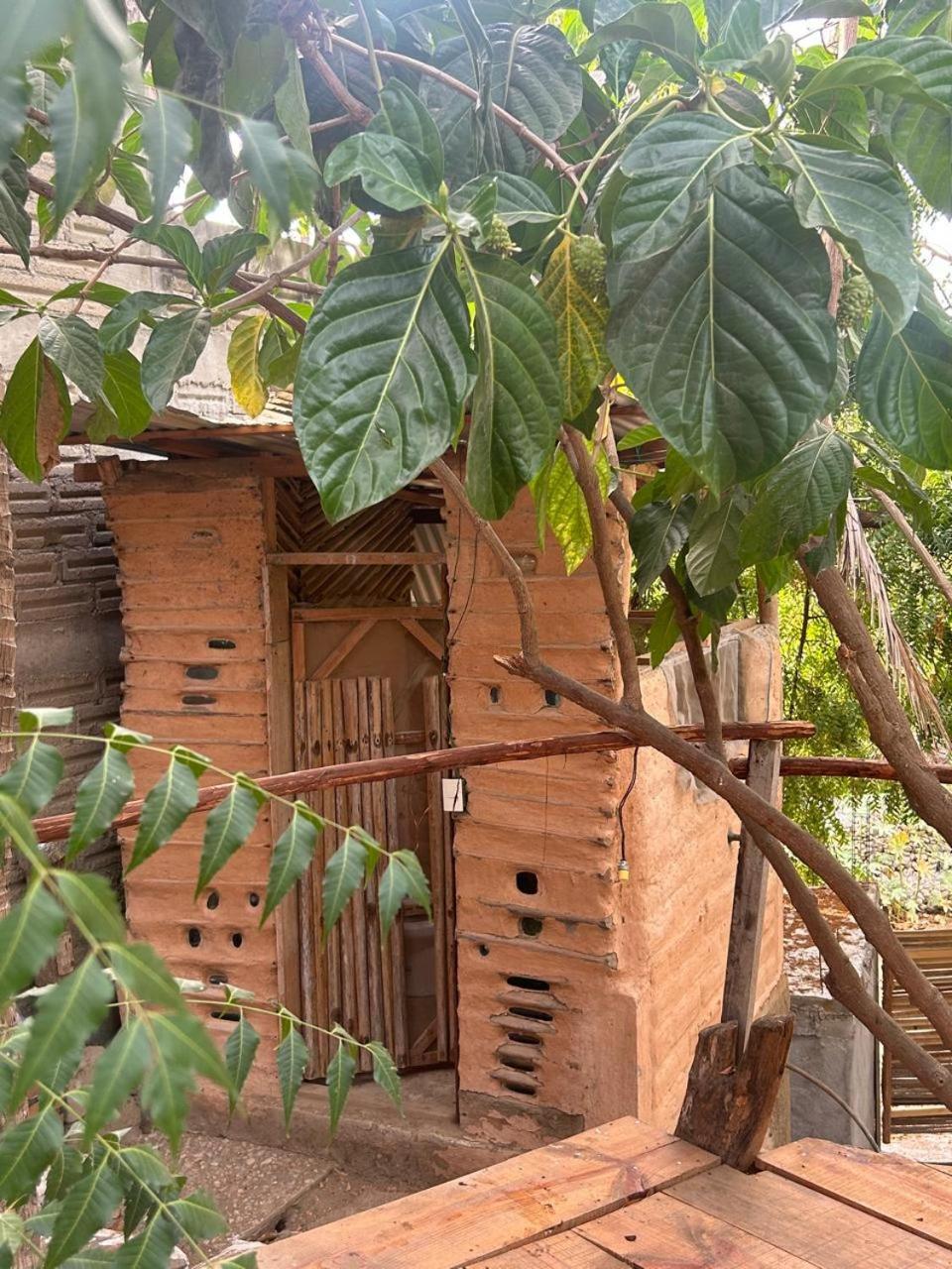 Casa De Las Brujas Hostal Zipolite Eksteriør bilde