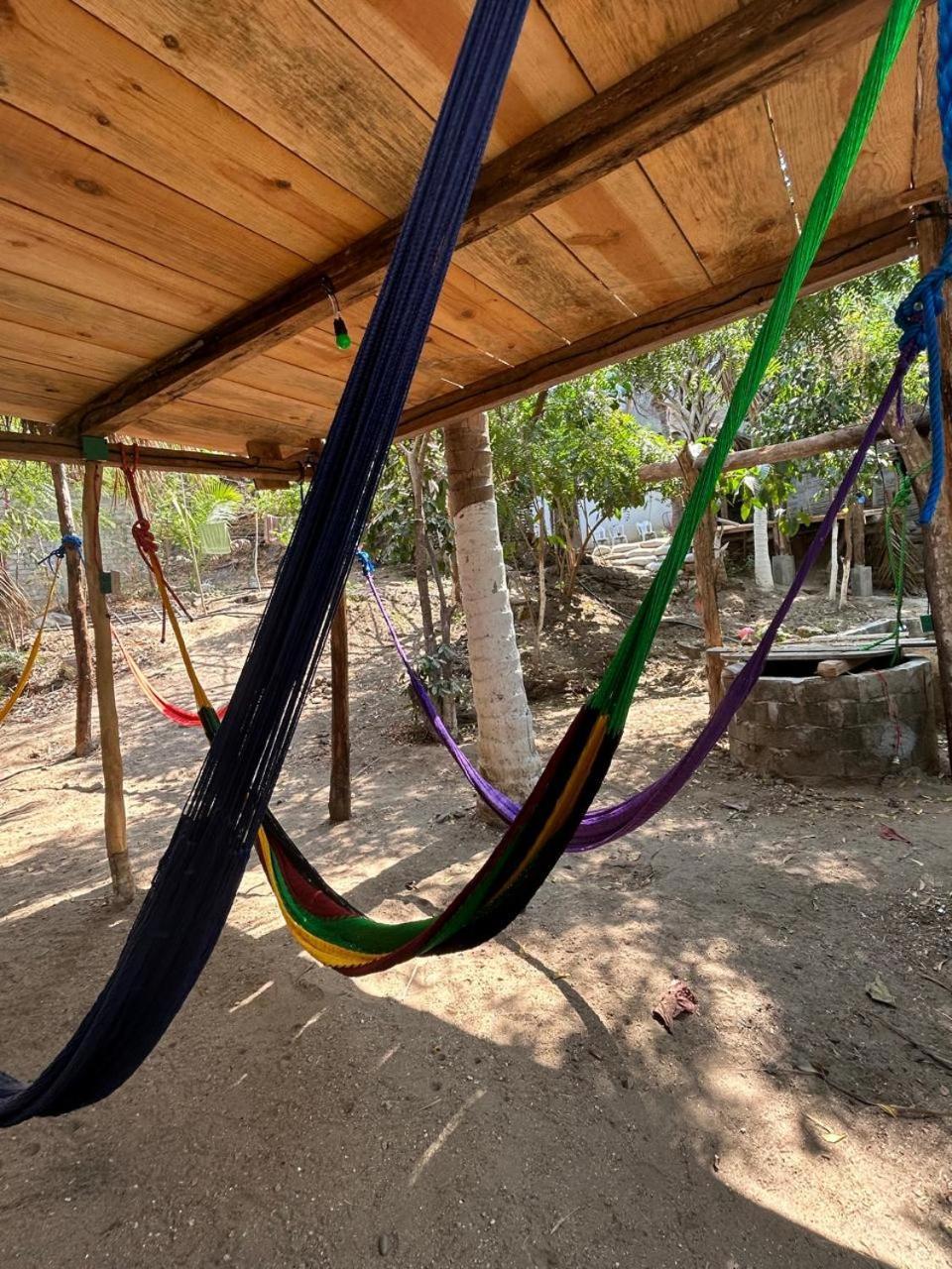 Casa De Las Brujas Hostal Zipolite Eksteriør bilde