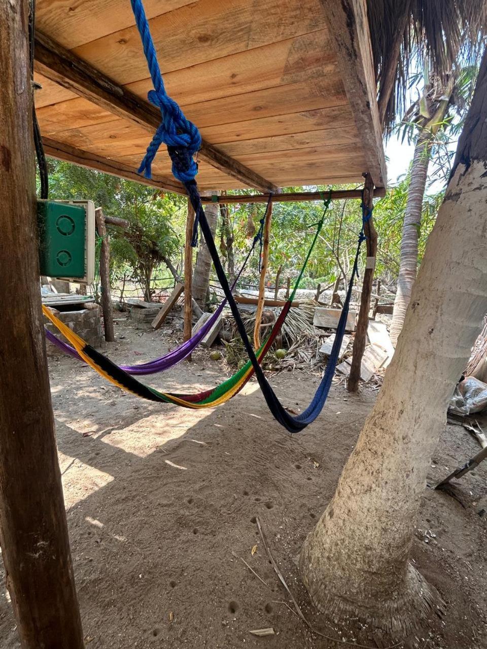 Casa De Las Brujas Hostal Zipolite Eksteriør bilde